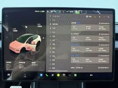 Tesla Model Y Rear-Wheel Drive - ფოტო 10
