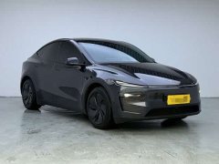 Tesla Model Y Rear-Wheel Drive - ფოტო 3
