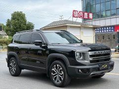 Great Wall Dachshund 1.5T DCT Border Collie Edition - ფოტო 2