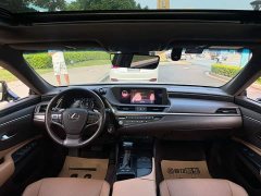 Lexus ES 2020 260 Excellence Edition - ფოტო 9