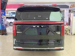 Great Wall WEY Shanshan New Energy Four-Wheel Drive Shanshan 8 - ფოტო 15