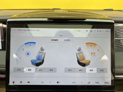 Trumpchi M8 2024 Master Series 400T Extreme Edition - ფოტო 19