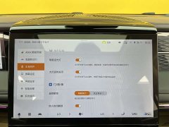 Trumpchi M8 2024 Master Series 400T Extreme Edition - ფოტო 20