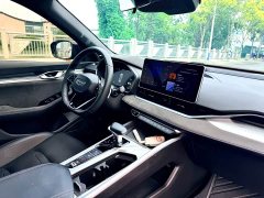 Geely Xingrui 2.0T Diesel Qingyun Edition - ფოტო 16