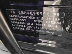 Tank 300 2.0T Conqueror - ფოტო 12