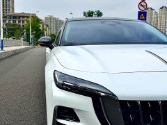 FAW Red Flag H6 2.0T Zhishang Edition - ფოტო 3