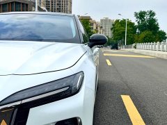FAW Red Flag H6 2.0T Zhishang Edition - ფოტო 5