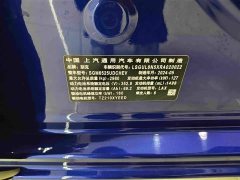 Buick GL8 New Energy Luzun Luxury Edition 6-Seater - ფოტო 13
