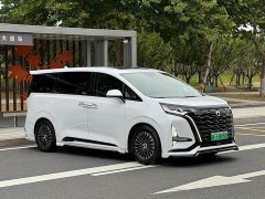 Denza BYD Denza D9 DM-i 980 Four-Wheel Drive Flagship - ფოტო 3