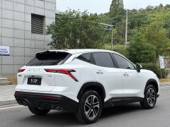 Jetour Jietu Dasheng 2025 1.5T DCT Elite - ფოტო 14