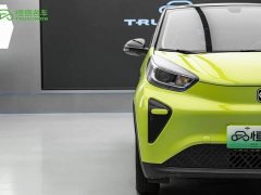 Chery Ant 2024 Facelift Youth Edition 321km Cool Love Edition 29.23kWh - ფოტო 8
