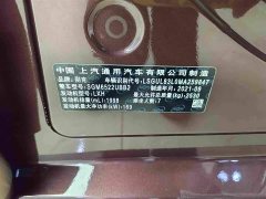 Buick GL8 ES Luxe 653T Comfort - ფოტო 13