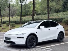 Tesla Model Y Rear-Wheel Drive - ფოტო 1