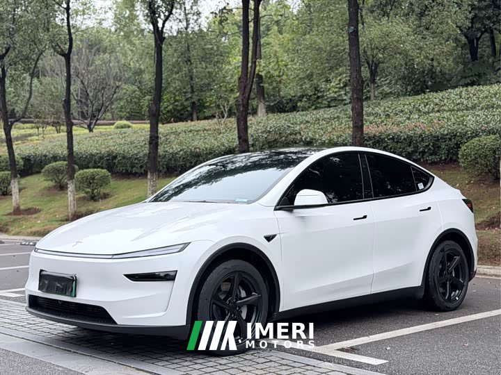 Tesla Model Y Rear-Wheel Drive