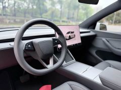 Tesla Model Y Rear-Wheel Drive - ფოტო 12