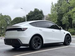 Tesla Model Y Rear-Wheel Drive - ფოტო 17