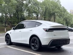 Tesla Model Y Rear-Wheel Drive - ფოტო 19