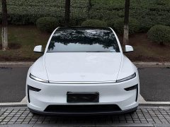 Tesla Model Y Rear-Wheel Drive - ფოტო 2