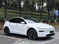 Tesla Model Y Rear-Wheel Drive - ფოტო 3