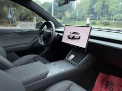 Tesla Model Y Rear-Wheel Drive - ფოტო 8