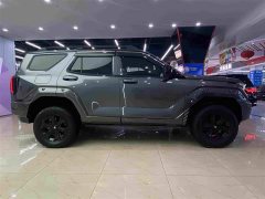 Tank 400 New Energy Hi4-T Ultra Power Edition - ფოტო 15