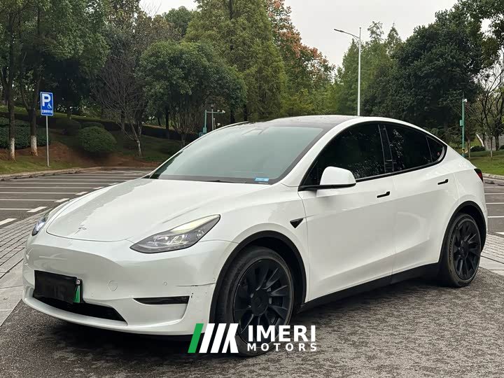 Tesla Model Y Long Range All-Wheel Drive - ავტომობილი ჩინეთიდან