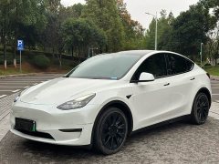 Tesla Model Y Long Range All-Wheel Drive - ფოტო 1
