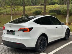 Tesla Model Y Long Range All-Wheel Drive - ფოტო 11