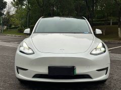Tesla Model Y Long Range All-Wheel Drive - ფოტო 2