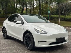 Tesla Model Y Long Range All-Wheel Drive - ფოტო 3