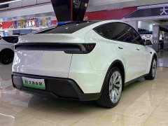 Tesla Model Y Rear-Wheel Drive - ფოტო 17
