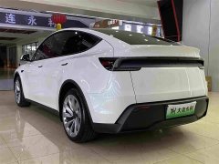 Tesla Model Y Rear-Wheel Drive - ფოტო 18