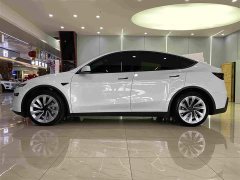 Tesla Model Y Rear-Wheel Drive - ფოტო 6