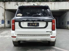 Tank 500 3.0T Business Edition Landscape Trim 5-Seater - ფოტო 18