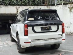 Tank 500 3.0T Business Edition Landscape Trim 5-Seater - ფოტო 19