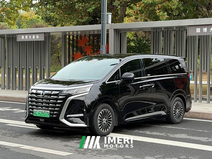 Denza D9 DM-i 1050 Premium