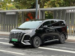 Denza BYD Denza D9 DM-i 1050 Premium - ფოტო 1