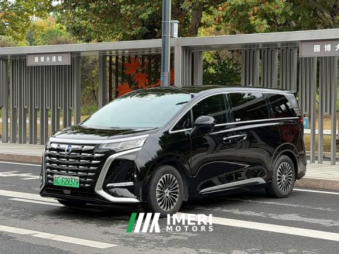 2024 Denza BYD Denza D9 DM-i 1050 Premium - ავტომობილი ჩინეთიდან