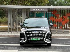 Denza BYD Denza D9 DM-i 1050 Premium - ფოტო 2