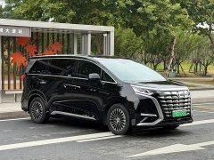Denza BYD Denza D9 DM-i 1050 Premium - ფოტო 3