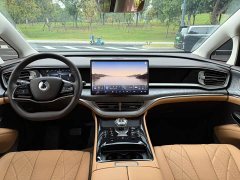 Denza BYD Denza D9 DM-i 1050 Premium - ფოტო 4