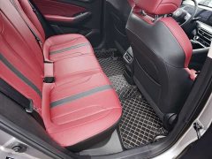 Changan Eado PLUS Blue Whale NE 1.4T GDI DCT Luxury - ფოტო 12