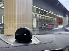 NIO EC6 2020 430KM Sport Edition - ფოტო 14