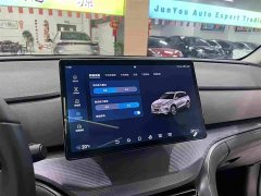 BYD Haima Sealion 05 DM-i 115KM Prestige Edition - ფოტო 17