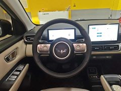 Wuling Binguo PLUS 330km 5-Seater - ფოტო 3