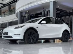 Tesla Model Y 2023 Long Range All-Wheel Drive - ფოტო 1