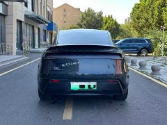 Tesla Model Y Rear-Wheel Drive - ფოტო 4