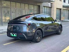 Tesla Model Y Rear-Wheel Drive - ფოტო 6
