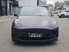 Tesla Model Y Rear-Wheel Drive - ფოტო 2