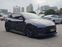 Tesla Model Y Rear-Wheel Drive - ფოტო 3